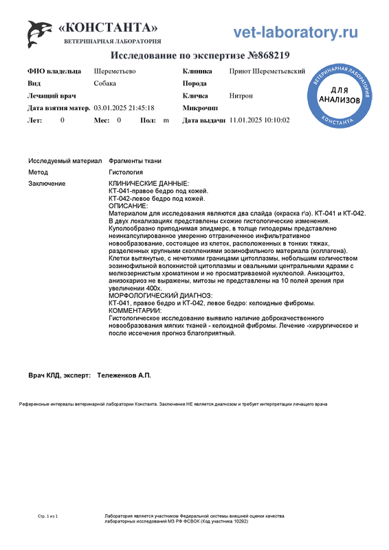 По экспертизе (868219)