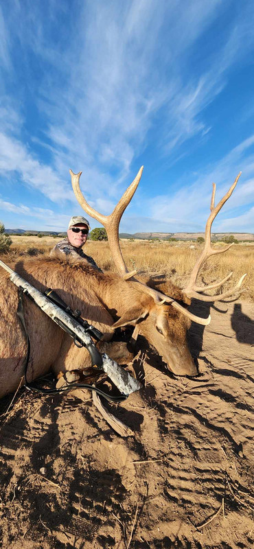 Bobby elk