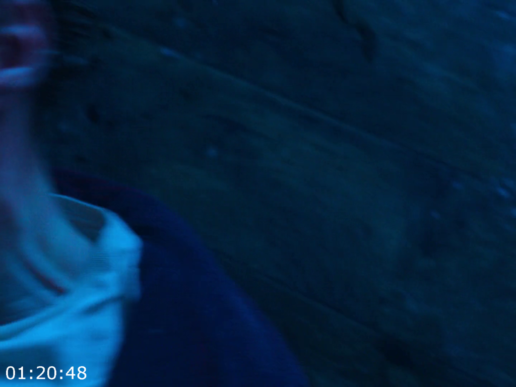 [Kép: The-Thing-With-Feathers-2025-1080p-Blu-R...AAC5-1.png]