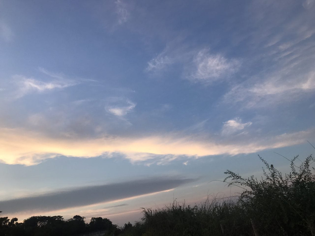 photo5240382455498778950