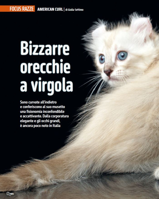 QuattroZampe Feb 2025 (11)