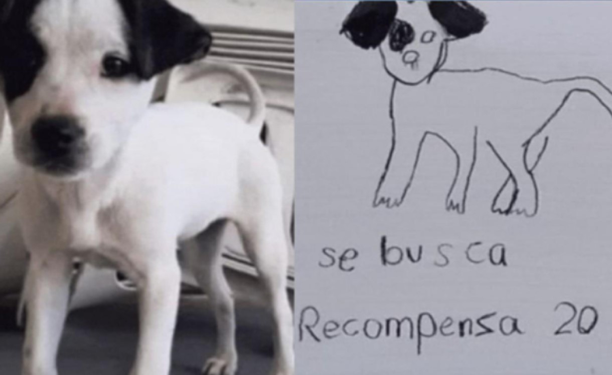 Niñas encuentran a su perrito perdido, ofrecieron 20 pesos de recompensa