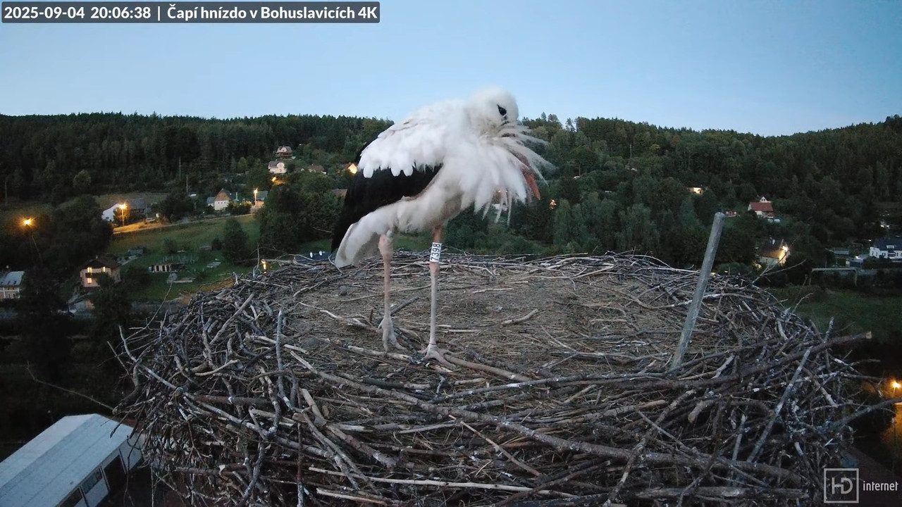 Tiešraide no KARA uzņēmuma stārķu skursteņa Bohuslavicē netālu no Trutnovas 11-55-23 screenshot