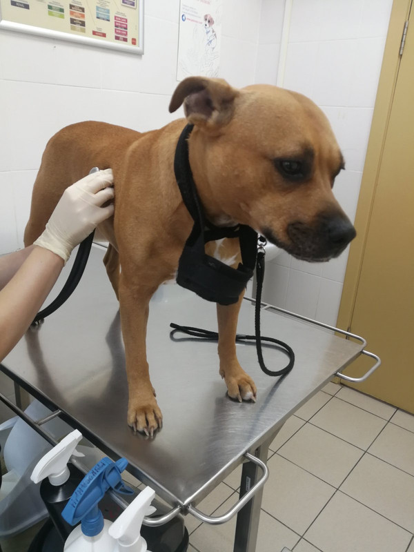 3D0436F2-1FDB-4CE8-86FE-C20673136DFF