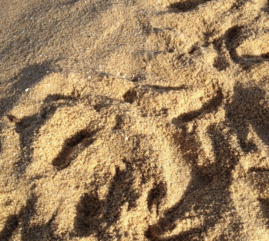 122-C43-DF-8-AB4-4-ABD-8-E78-AE4-ED873-F