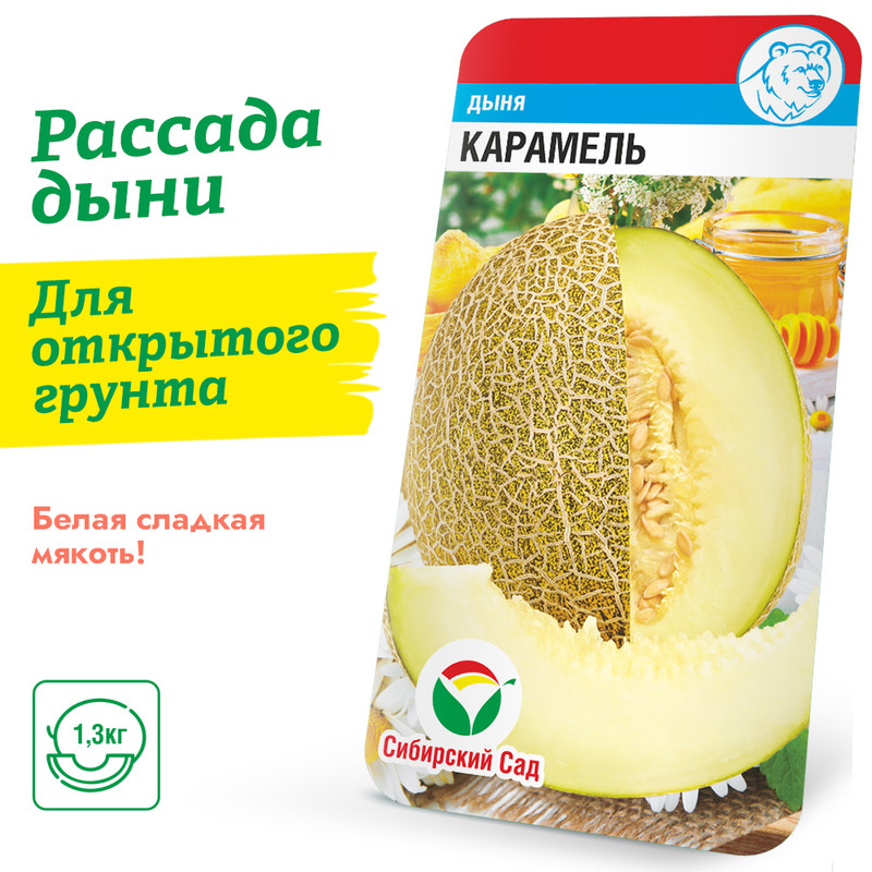 дыня карамель