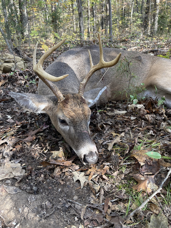 CB98E132-DD0A-4AF7-8CF7-B206E15B1059