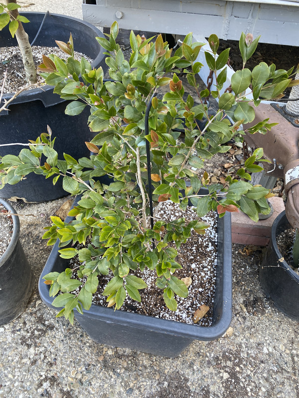 37E4E71B-6996-4874-A985-4A79D4CD8518