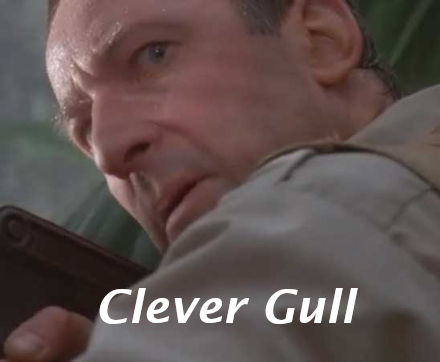 Clever Gull
