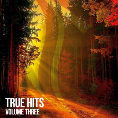 VA - True Hits Vol. 3 (2019)