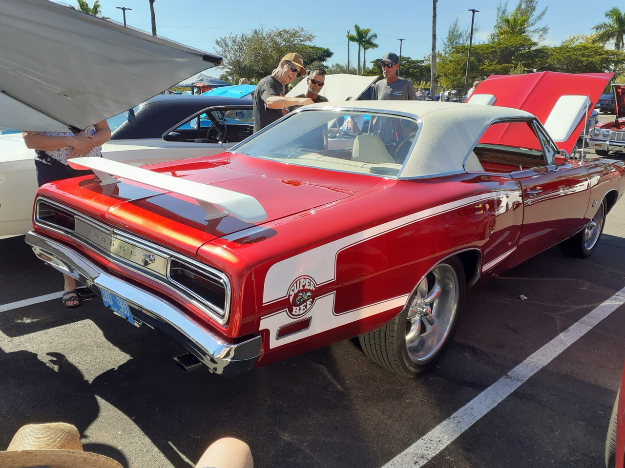 579110313 25031089706501339 2382544091619086586 n