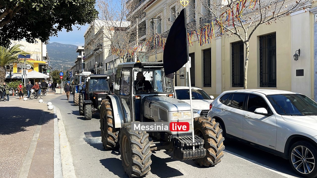 agrotes-IMG-9559