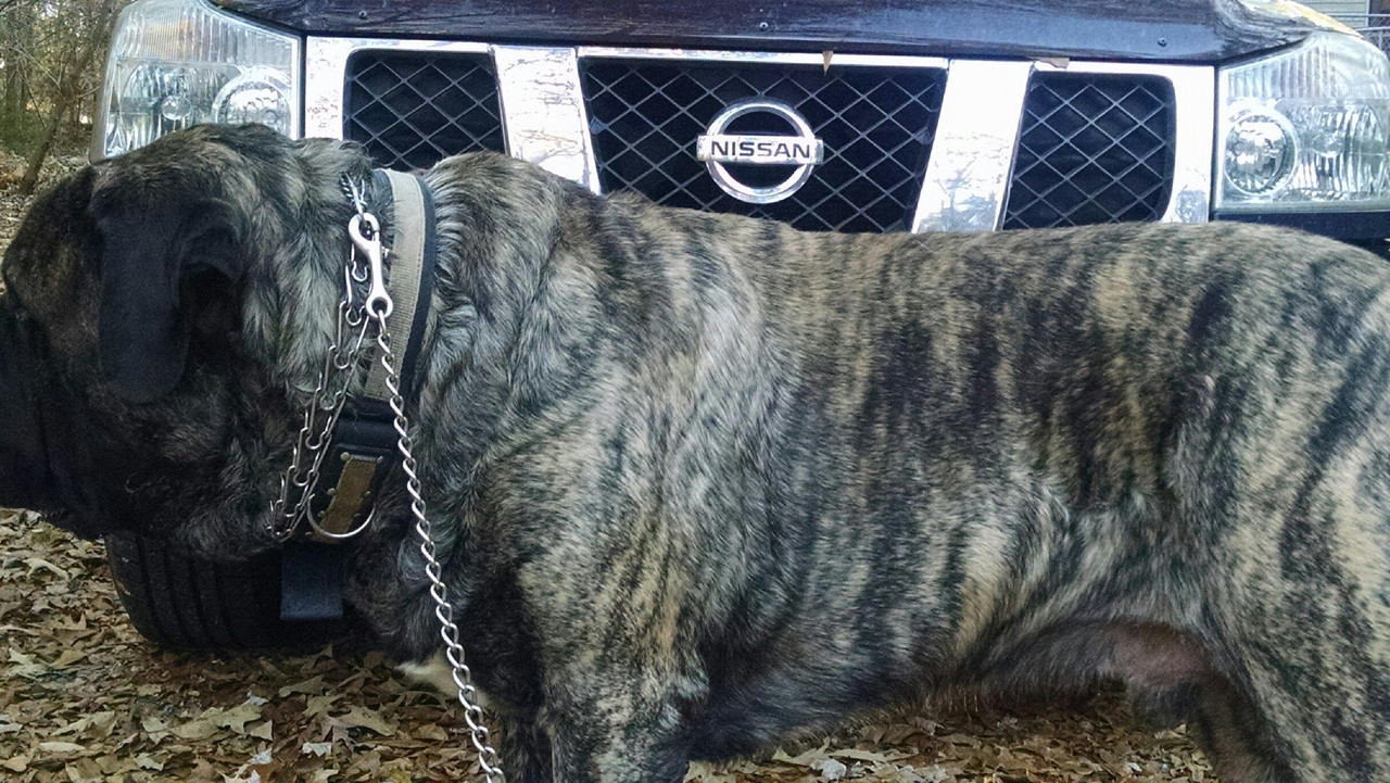 IMG_20141130_162538201