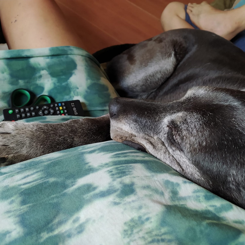 5A408D7A-36EC-4BBE-A81F-DF3FC4862B8D