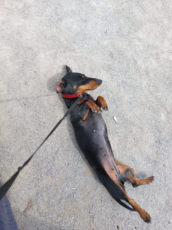 [Image: IMG-20250605-WA0013.jpg]