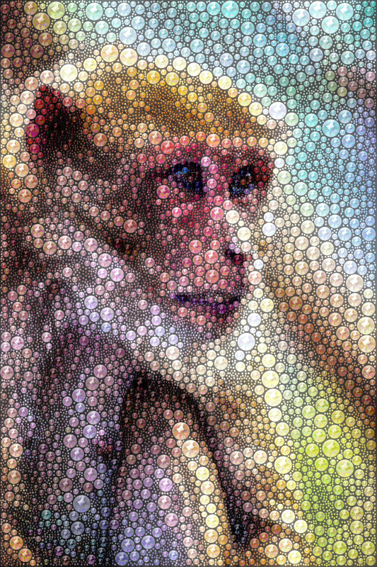 Marblelous Monkey