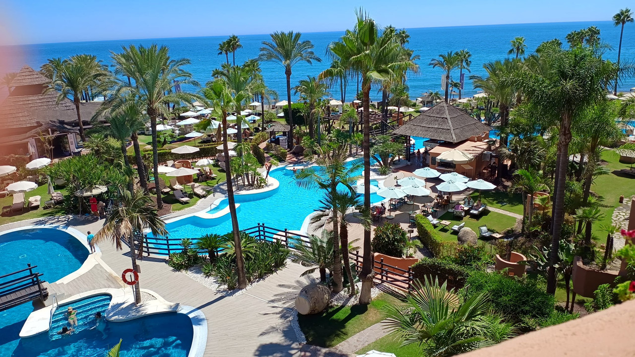 WhatsApp Image 2024-08-18 at 18.40.51(1)