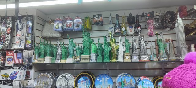 Vista icónica en Dumbo, bicis Central Park, Museo Historia y Little Italy - Nueva York y Cataratas del Niágara 2023 (48)