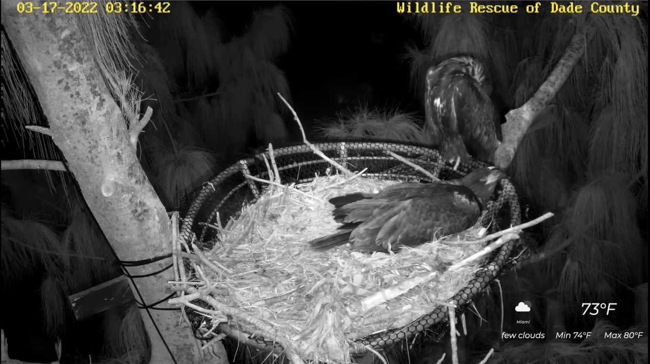 E719A4CE-1C22-47F8-A05A-1D4BAEA918D8