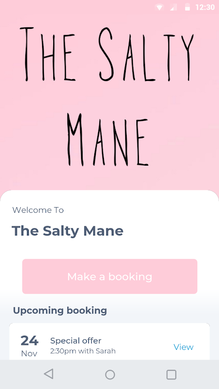 Download The Salty Mane APK
