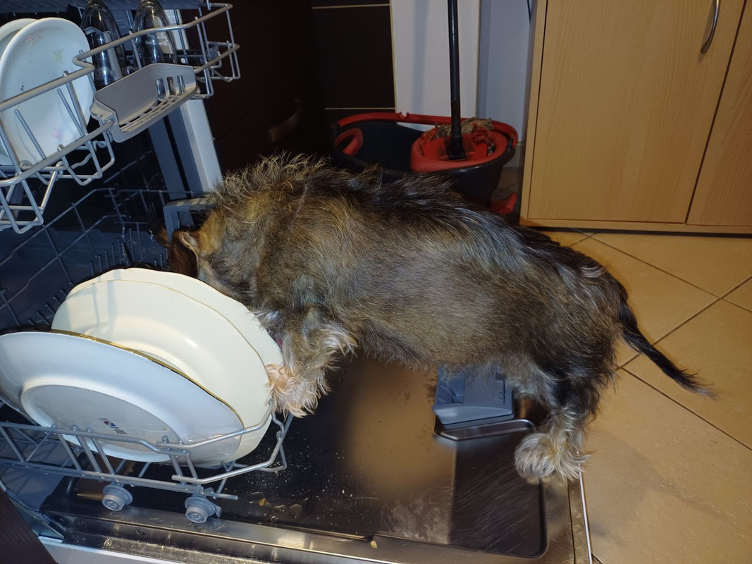 [Image: image0000001.jpg]