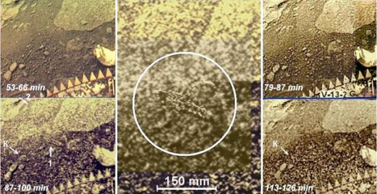 [Image: venus-scorpion.jpg]