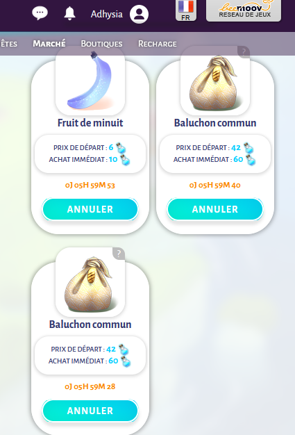 https://i.postimg.cc/9FJqNKDS/marche-12.png