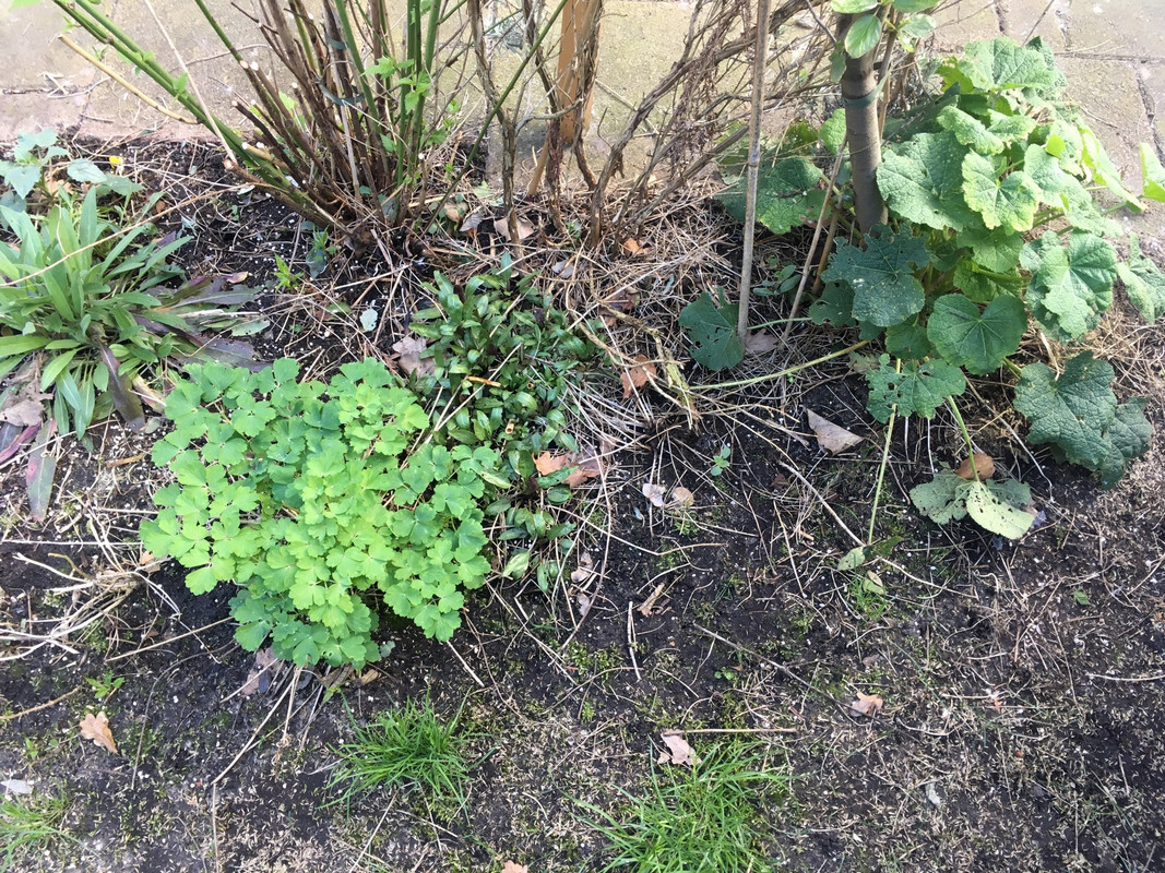 07E77055-69D3-4985-A202-C9332158AE07