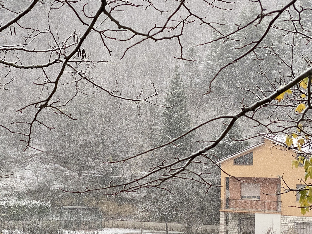 80DB98E7-47C1-479B-A6FF-2685ACFC0480