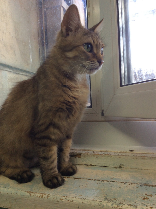 AE119870-63C3-4B14-AA3E-0897554825C9