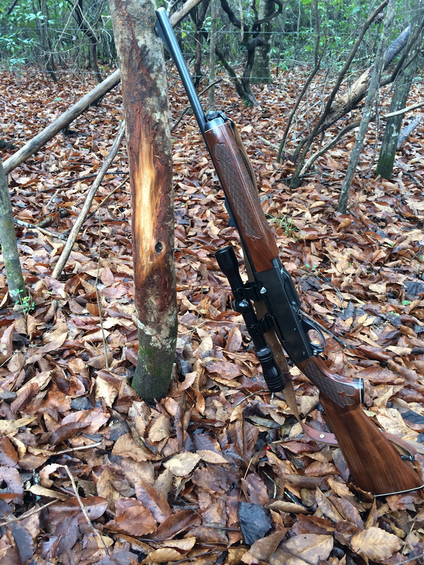 F6E04404-8DA9-4623-86CA-C42952C51580