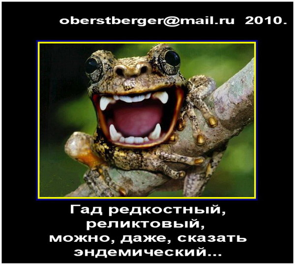 https://i.postimg.cc/9FK7t0VZ/3db83599ce6a2f522175d8dffd636c62-i-1321.jpg