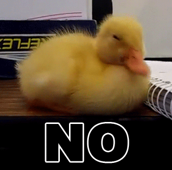 IMG-8959.gif