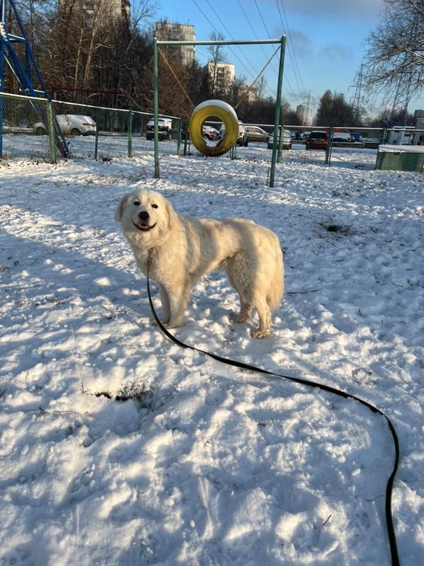 86783B4E-D42F-4652-A5AD-ECD3EDA75431