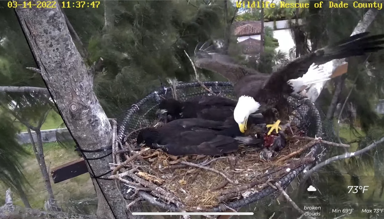 CE2A23D0-5A8E-47D0-98A5-BC8AFBDE2CF7