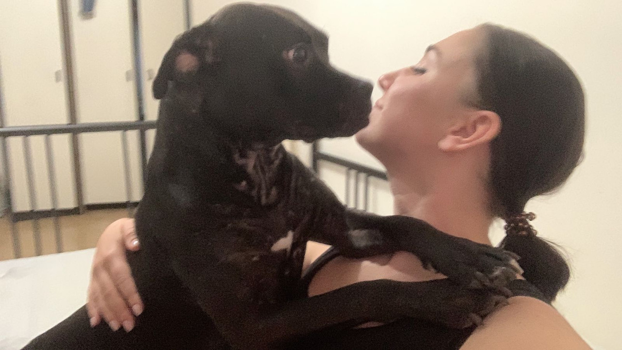 4397C657-AA75-42EB-8C8D-99E9C42D07F2