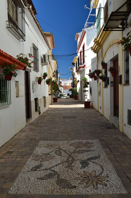 ESTEPONA-9-3-2017 - Málaga y sus pueblos-2009/2017 (47)