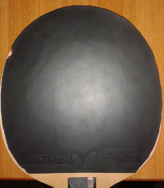 Tenergy 05 (1)
