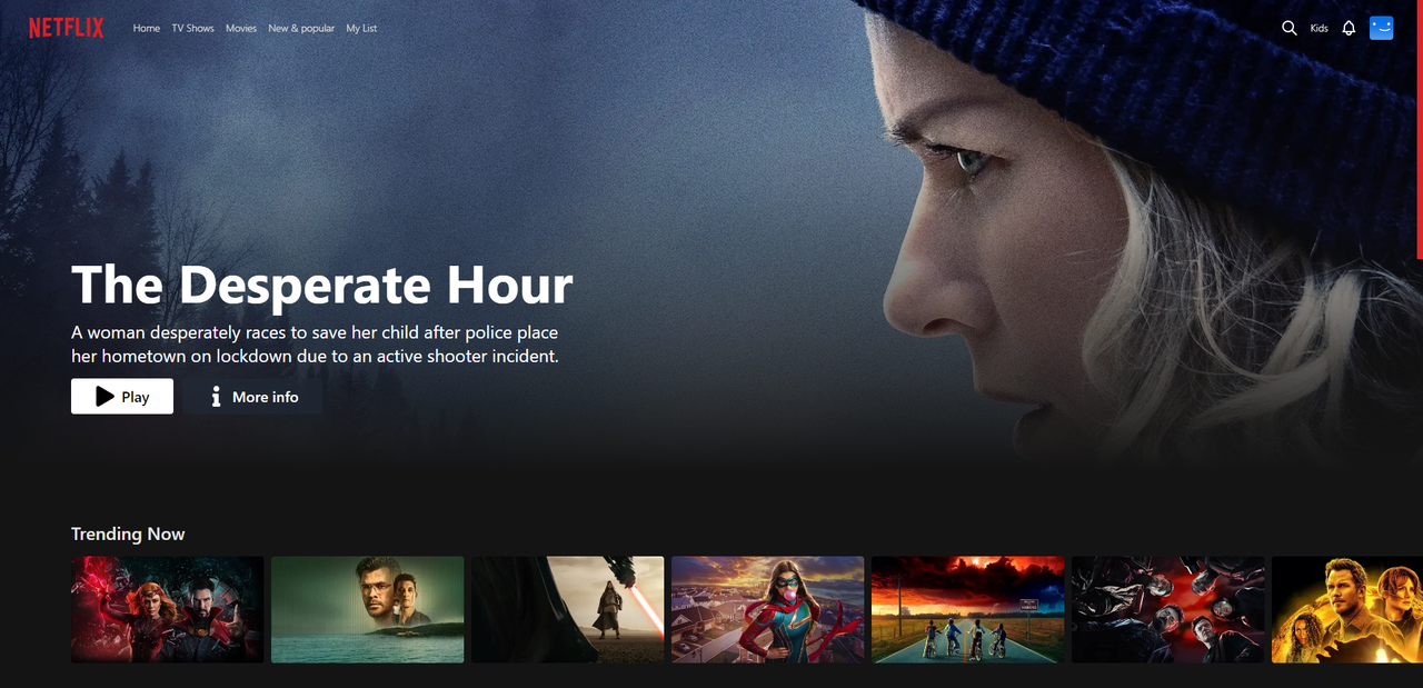 netflix1.png