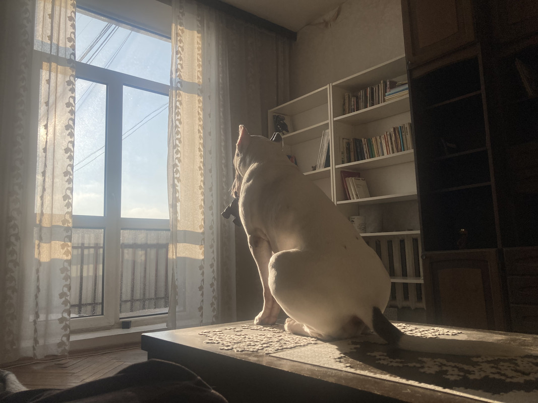 5E54A588-0133-41A9-9FE5-5E8DA9D8D0DC