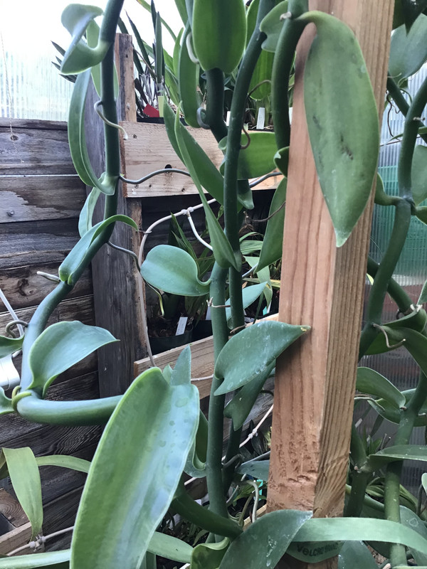 7B04FB56-DEC4-4DF9-A214-1DD7BDC2C4C8