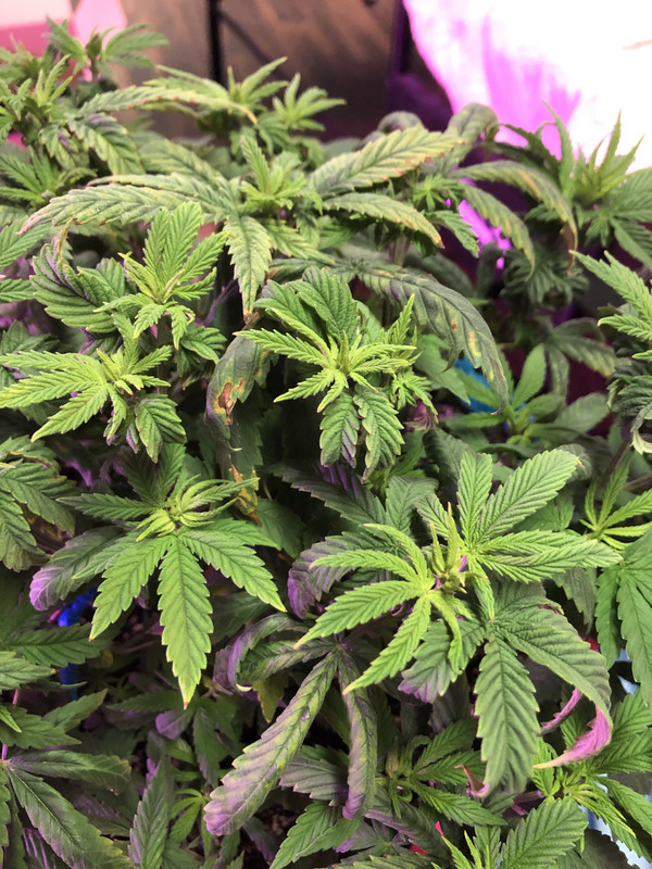 ABEF1936-087D-4470-8F13-9C55394A7396