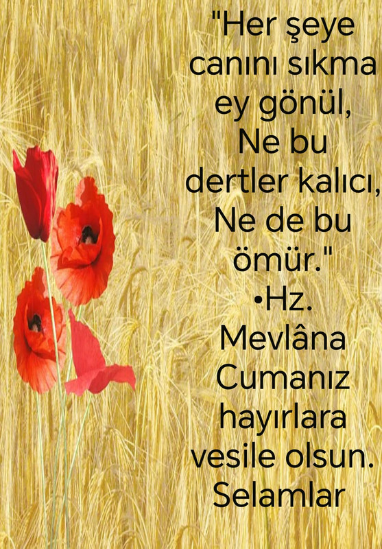 IMG 20261002 WA0006