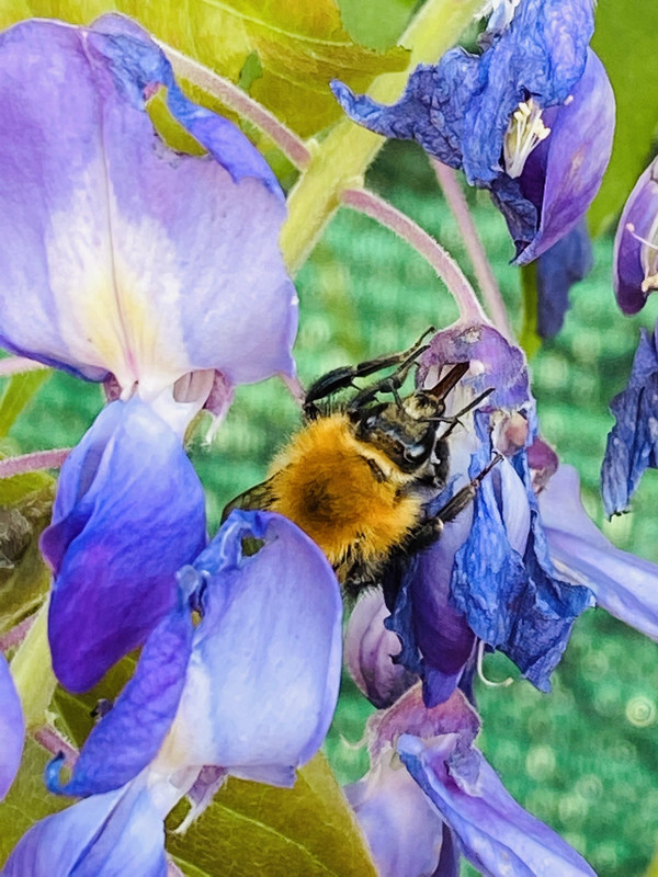 AC727612-7F63-4391-AA66-78369F42709B