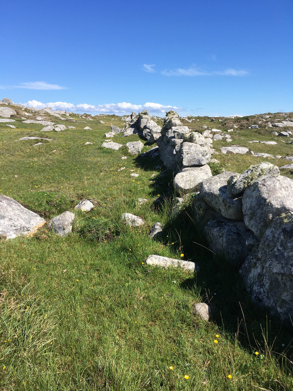 5B26D737-A372-46D4-B349-88BEC2BD05EE