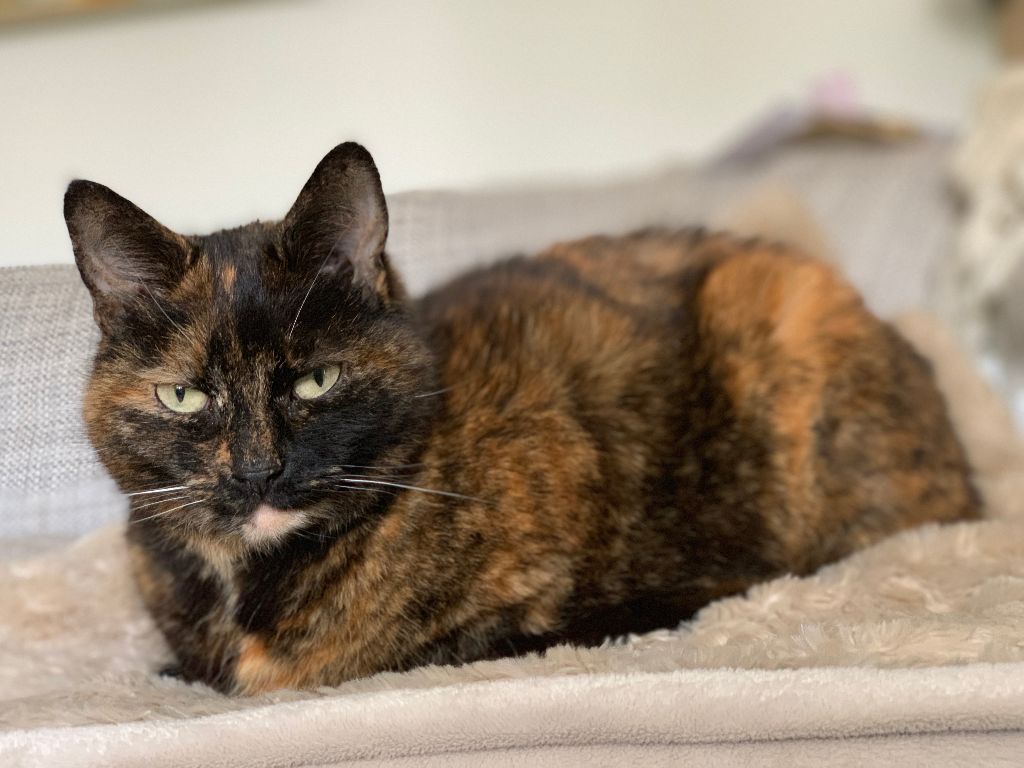 [Image: Sally-Apr-2019-2.jpg]