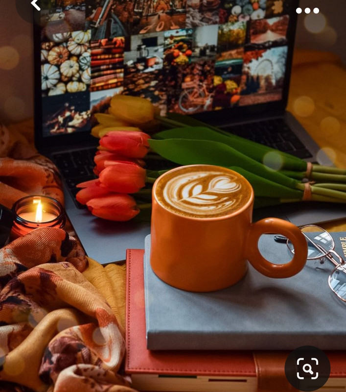 Screenshot_20231031_163433_Pinterest