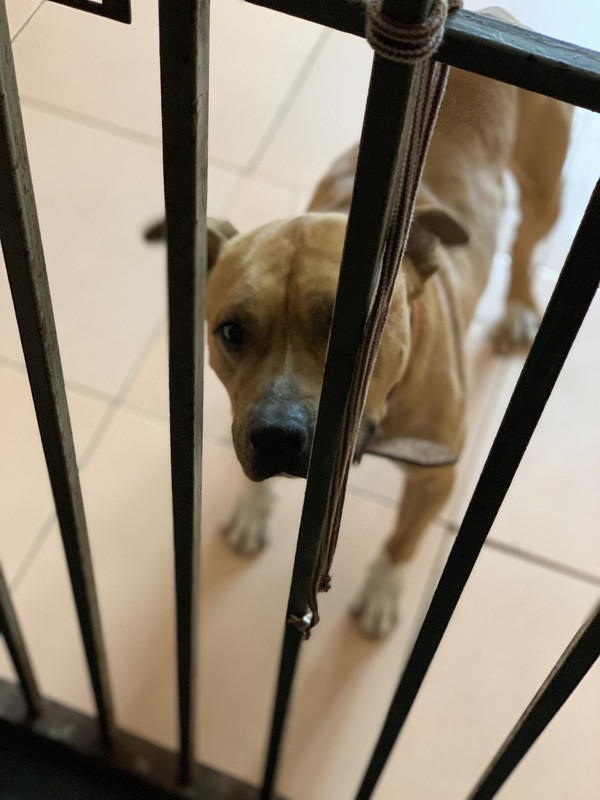 8E4D8E67-E83B-4243-A7D8-932CF964A5E6