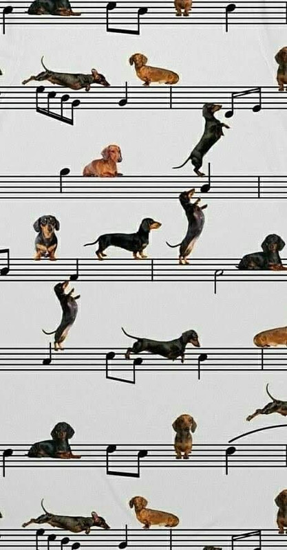 [Image: FB-IMG-1695800486142.jpg]