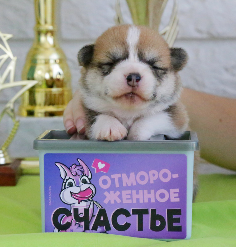 IMG_5357  мальчик с хвостом  8.06.21